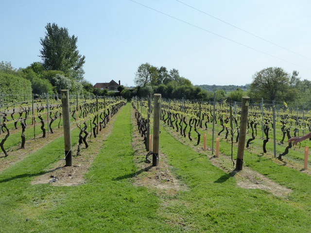 Chapel Down Winery, Small Hythe, Tenterden