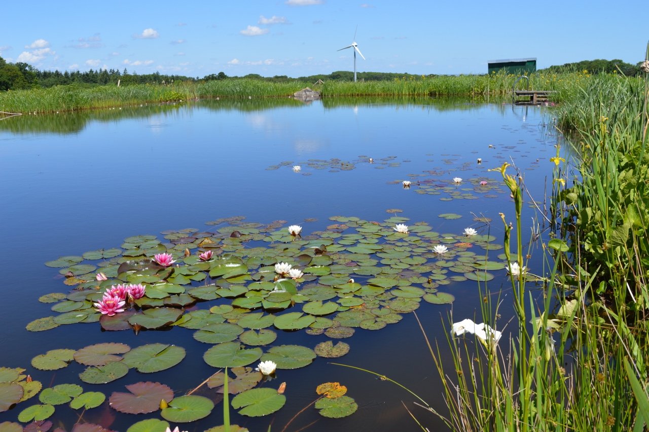 Views across the Landews Meadow estate
